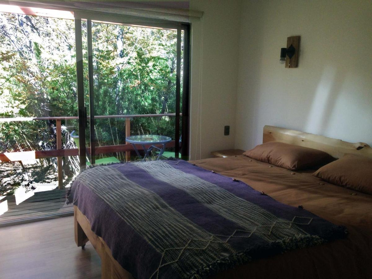 Refugio Ecobox Andino Villa Las Trancas Dış mekan fotoğraf